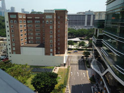Suites At Orchard (D9), Apartment #138667002